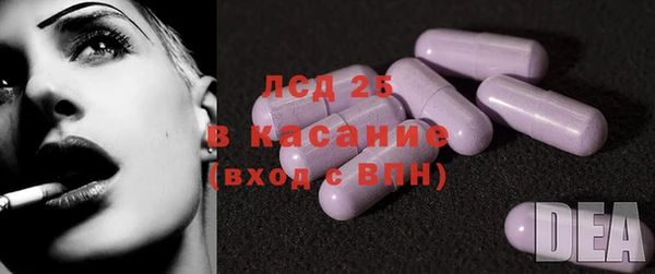 крисы Осинники