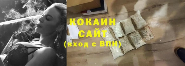 крисы Осинники