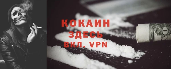мяу мяу кристалл Няндома