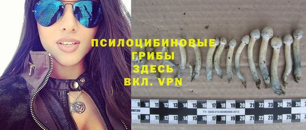 молекула духа Новозыбков