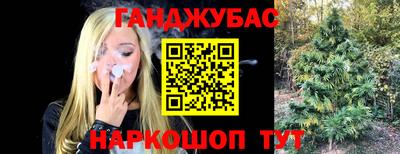 винт Тара