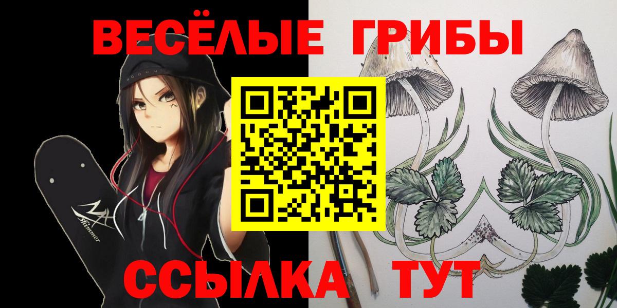 Псилоцибиновые грибы Cubensis Отрадное