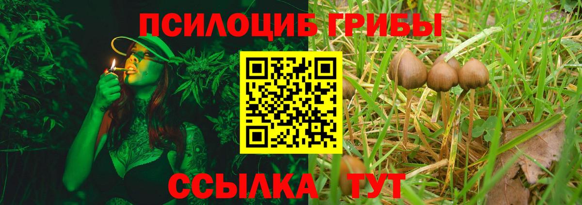 Галлюциногенные грибы ЛСД  Вход с VPN  Отрадное 